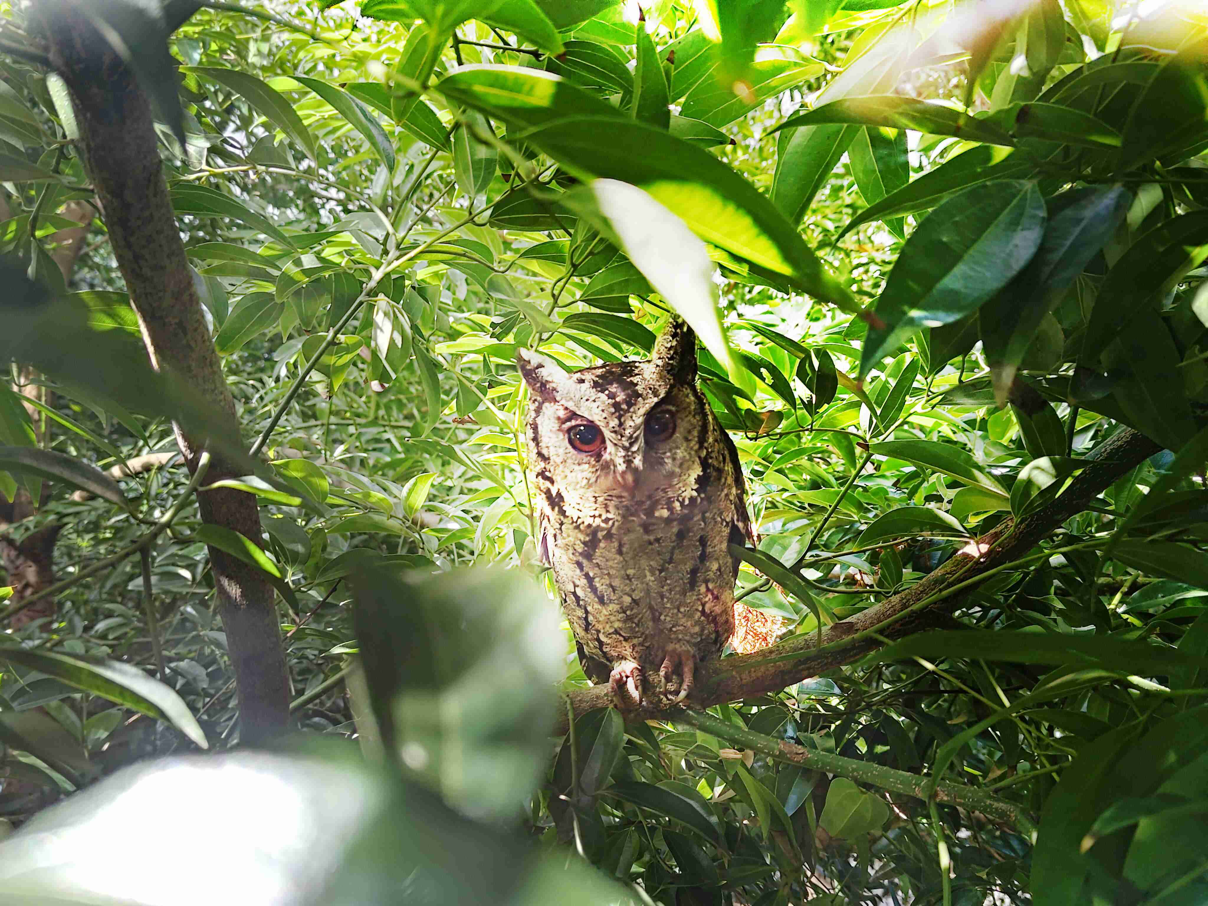 尊龙集团致力提倡净零绿生活，，，，16年以来在全球各厂区植树逾百万棵，，，，造就各厂区树木蔚然成林，，，，犹如森林工厂，，，成为许多生物的栖息地